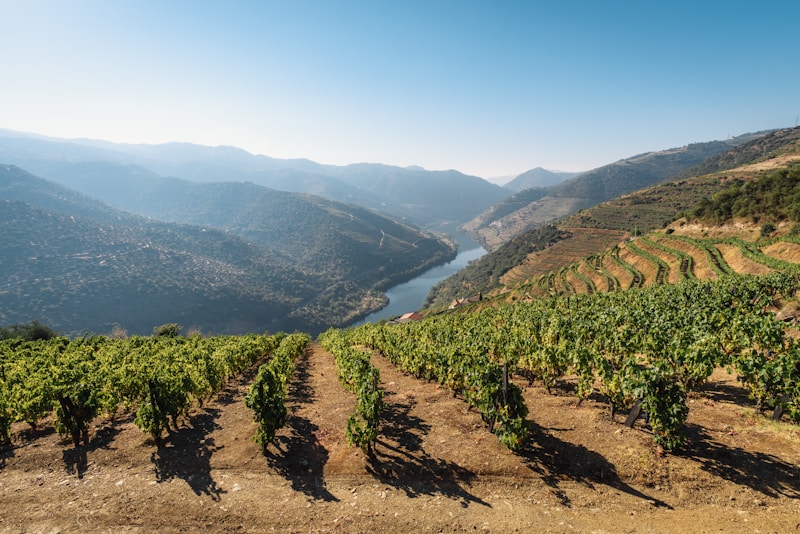 Douro Valley By Car