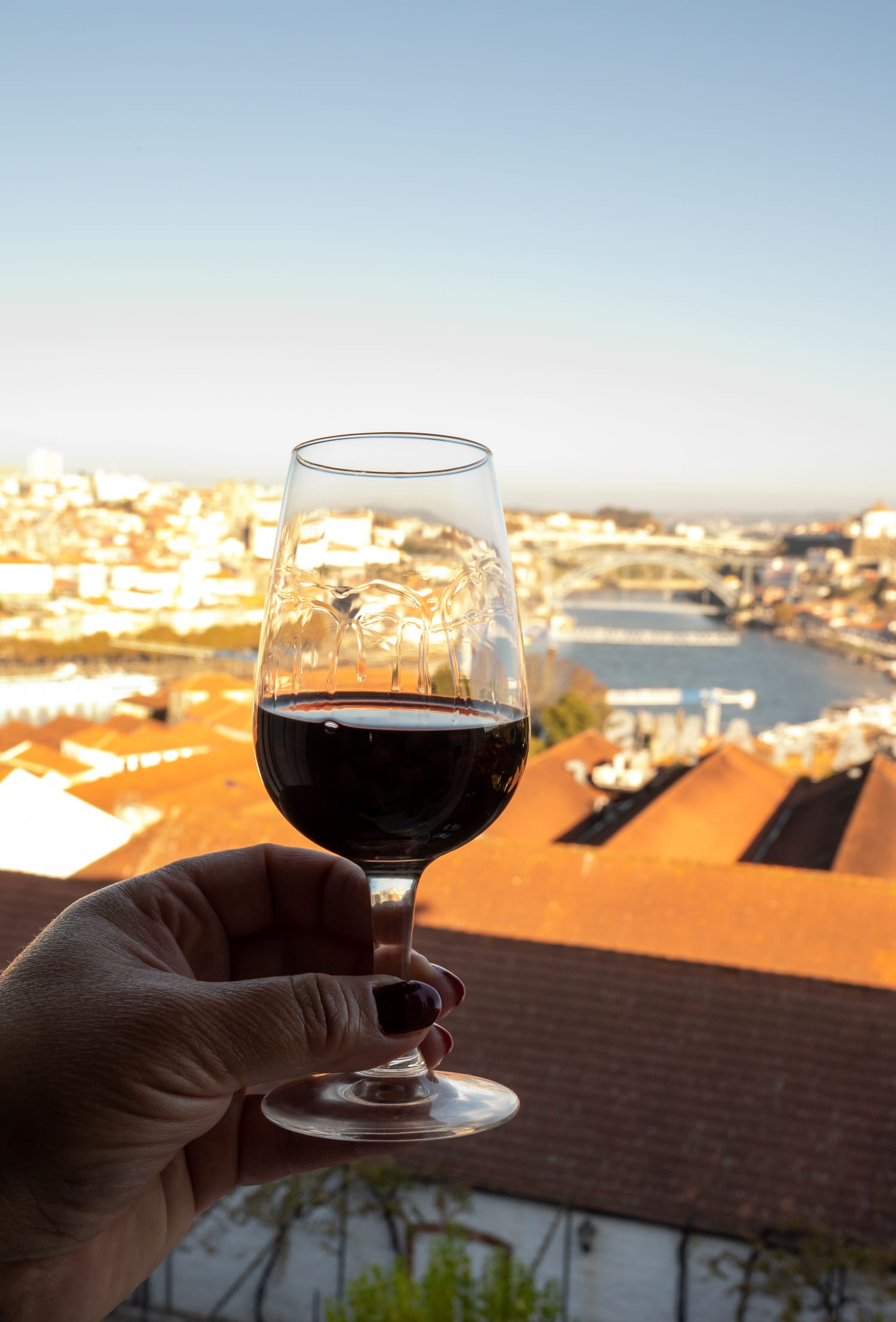 Glass of red wine over Porto rooftops in warm evening light