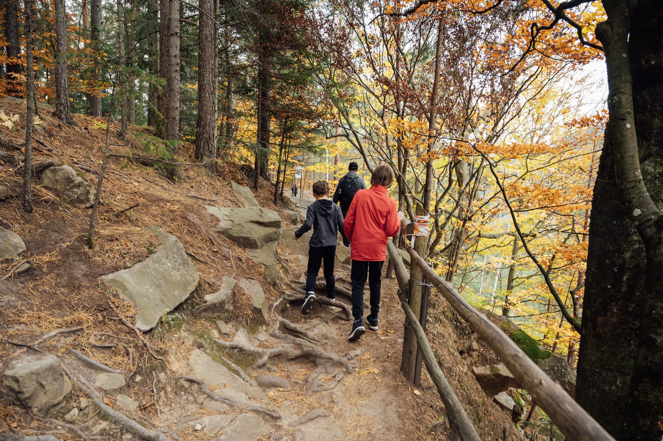 Forest walking route in Portugal for layered hiking outfits