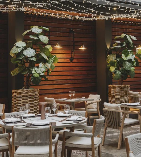 Set dining tables, wicker chairs and green plants in the Matiz courtyard.